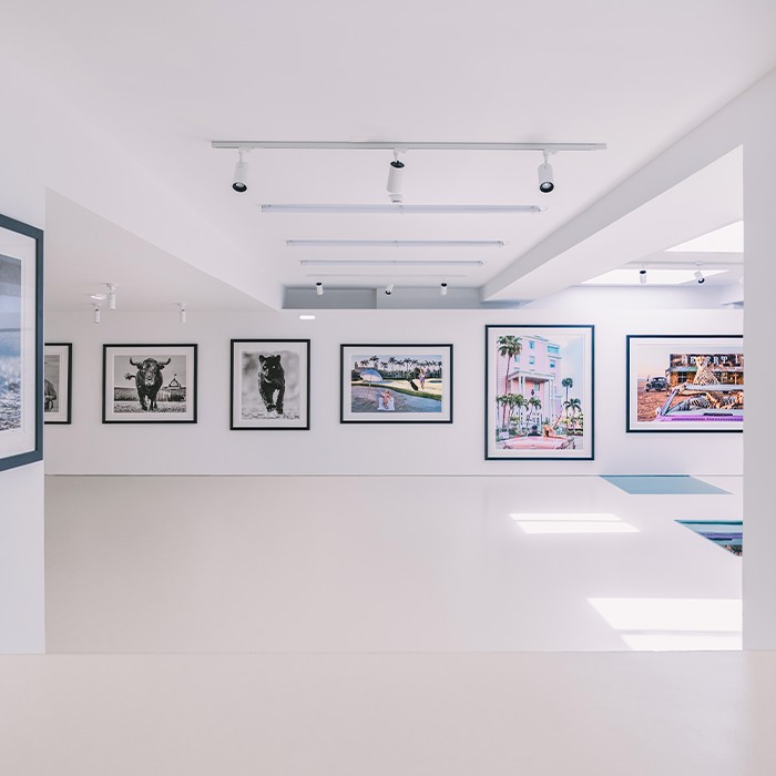 The Pink Gallery 04 - Estrela 74.jpg
