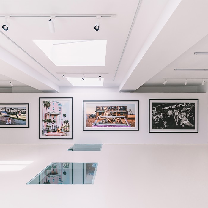 The Pink Gallery - Estrela 74